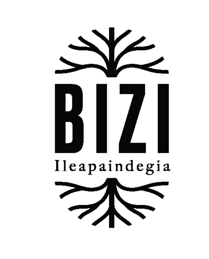 Bizi